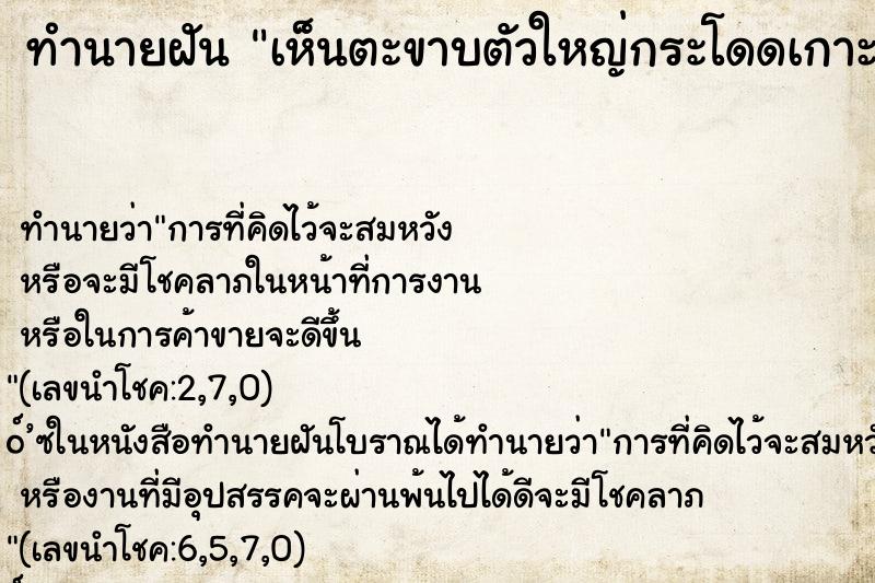 ทำนายฝัน เห็นตะขาบตัวใหญ่กระโดดเกาะ 